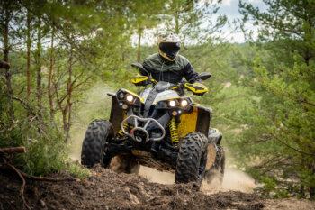 Professional quad biker rides in forest.