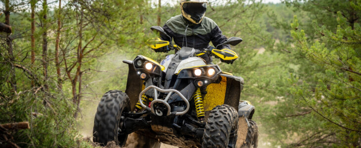 Professional quad biker rides in forest.