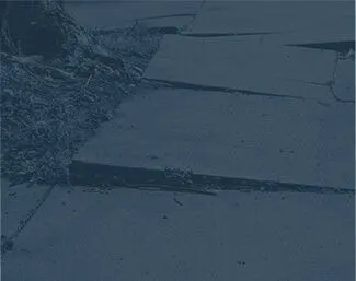 Damaged and uneven sidewalk with raised concrete slabs near a tree root